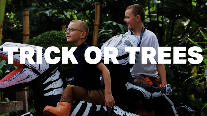 Trick or Trees - Community event in Des Moines, Iowa