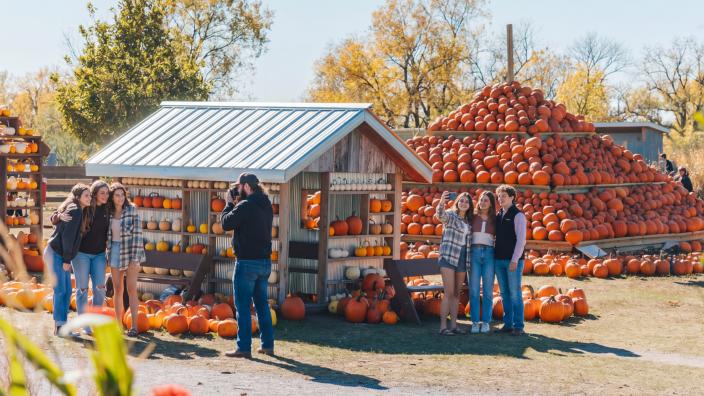 Pumpkin Fest - Community event in Des Moines, Iowa