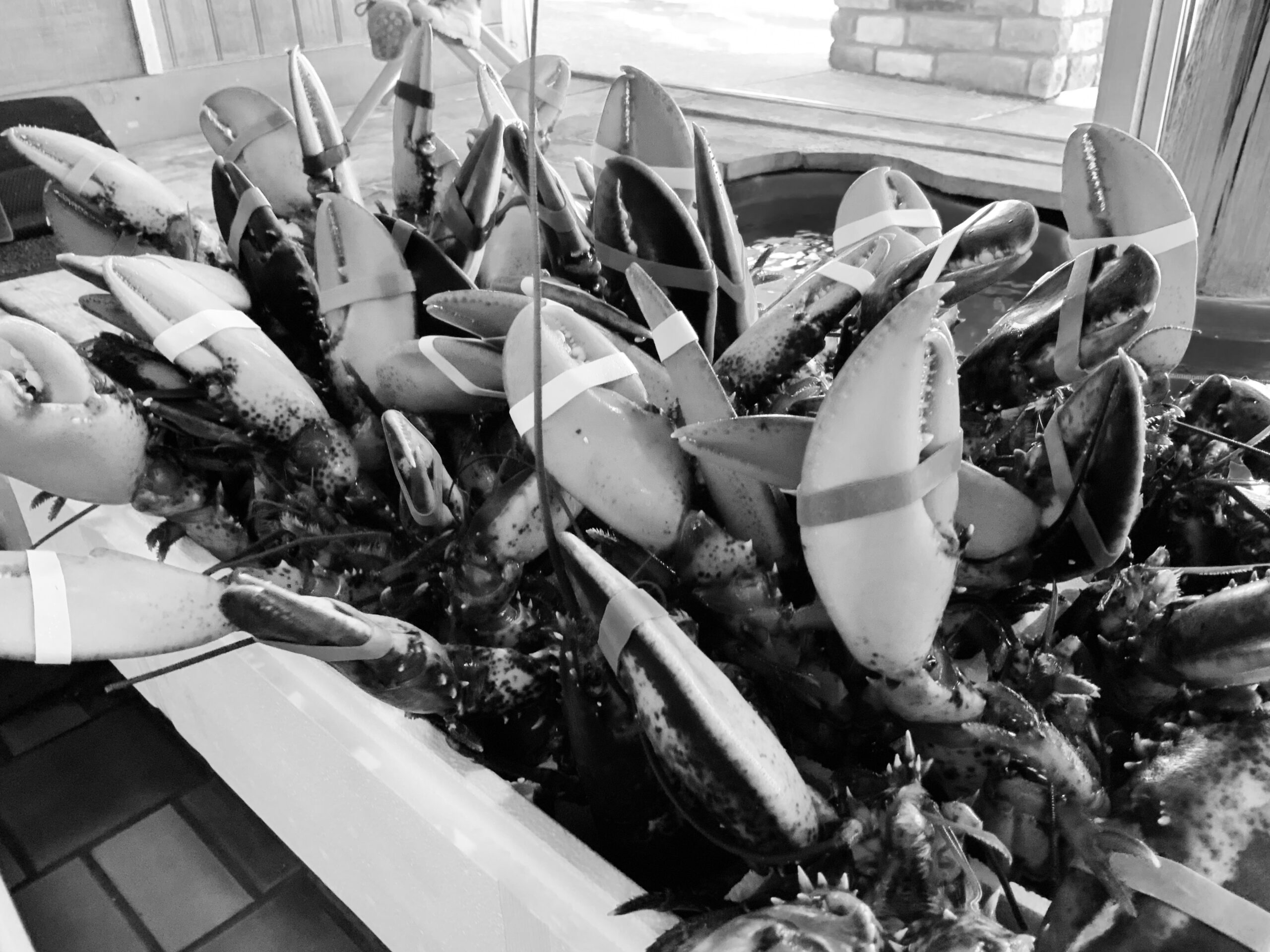 Waterfront Seafood Market - Seafood in West Des Moines, Iowa